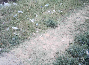 Screenshot-2026-06-23-at-6.50.52-PM
